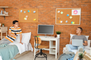 Green Thumb on a Budget Affordable Plant Decor for student space bedroom